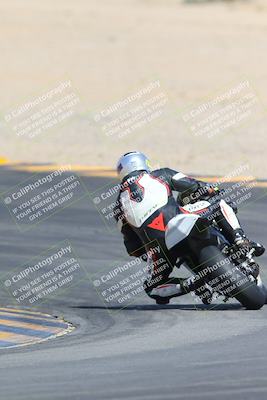 media/Mar-10-2024-SoCal Trackdays (Sun) [[6228d7c590]]/9-Turn 8 Backside (1150am)/